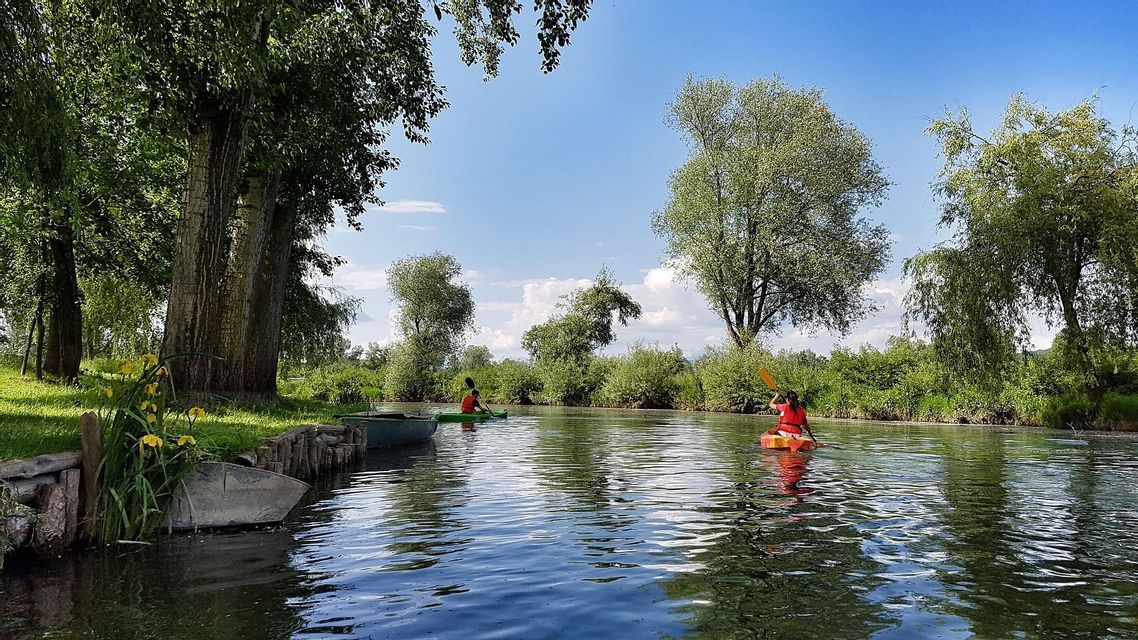 Due persone di un gruppo WeRoad in kayak su un fiume tranquillo, con alberi rigogliosi sulle sponde sotto un cielo azzurro.