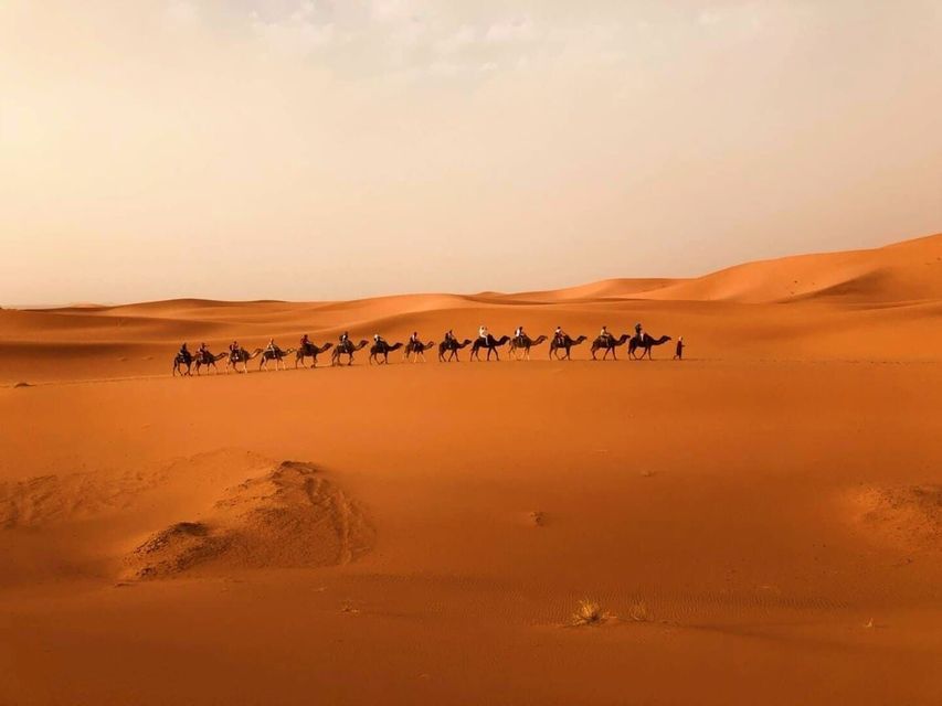 Un voyage en groupe WeRoad en caravane de chameaux à travers les vastes dunes de sable orange du désert.