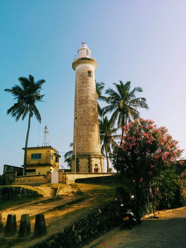 Un alto faro in pietra si erge su una collina circondato da palme e un arbusto fiorito sotto un cielo azzurro limpido.