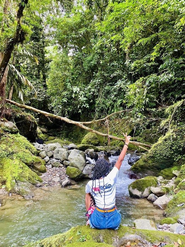 Une personne aux dreadlocks est assise sur un rocher couvert de mousse au bord d'un ruisseau dans une jungle luxuriante, levant un bras en signe de paix.
