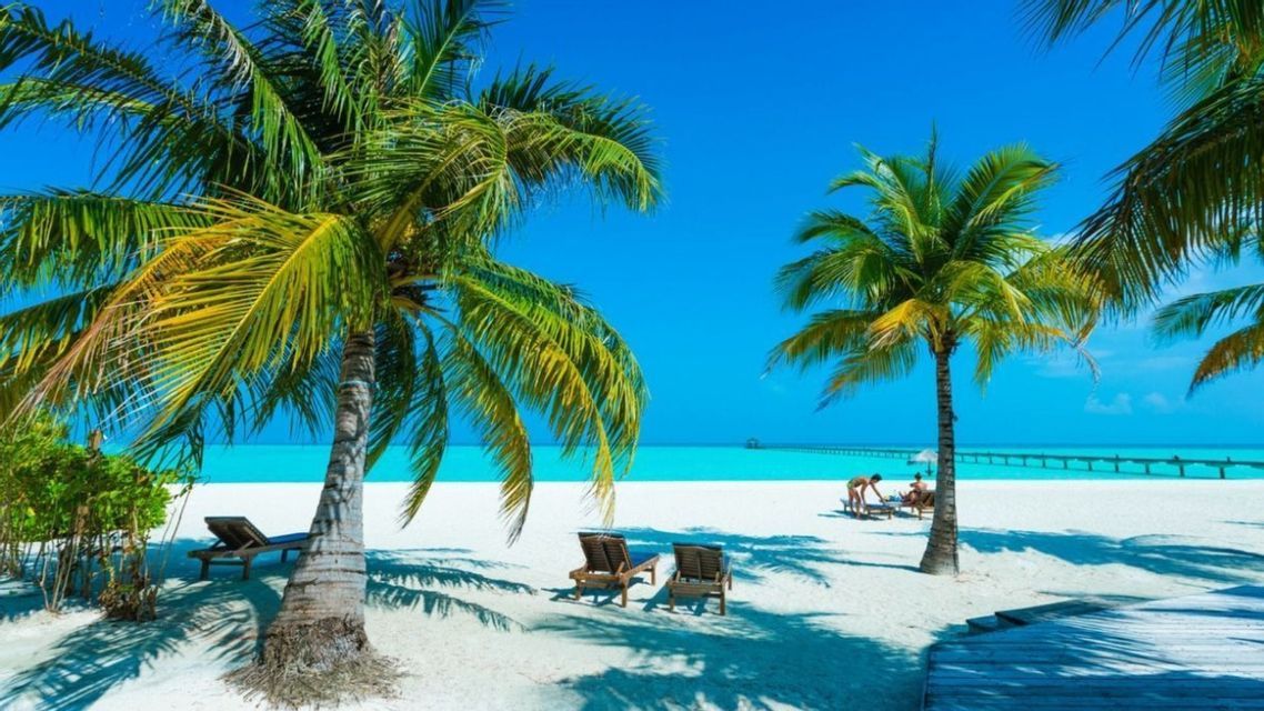 Palmeras que dan sombra a las tumbonas en una playa de arena blanca, con vistas a un mar turquesa y un muelle al fondo.