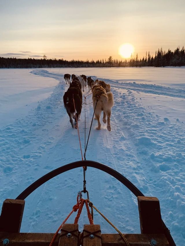 Una vista in prima persona da una slitta trainata da una squadra di husky attraverso un paesaggio innevato al tramonto.