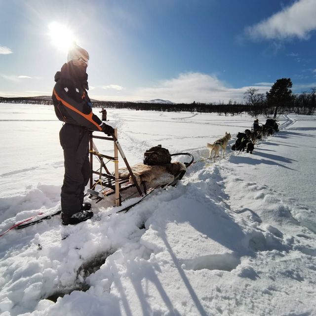 A person from a WeRoad group trip stands on a dog sled pulled by huskies across a snowy landscape under a bright sun.