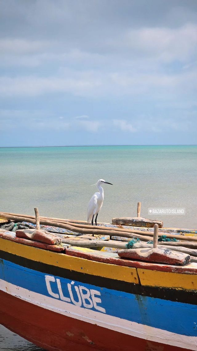 Un airone bianco si posa su una barca di legno colorata sulla riva di un mare calmo e turchese, sotto un cielo nuvoloso.