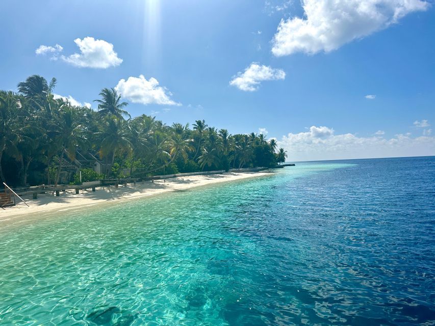 Une plage de sable blanc bordée de palmiers, baignée par une eau turquoise cristalline sous un soleil radieux.