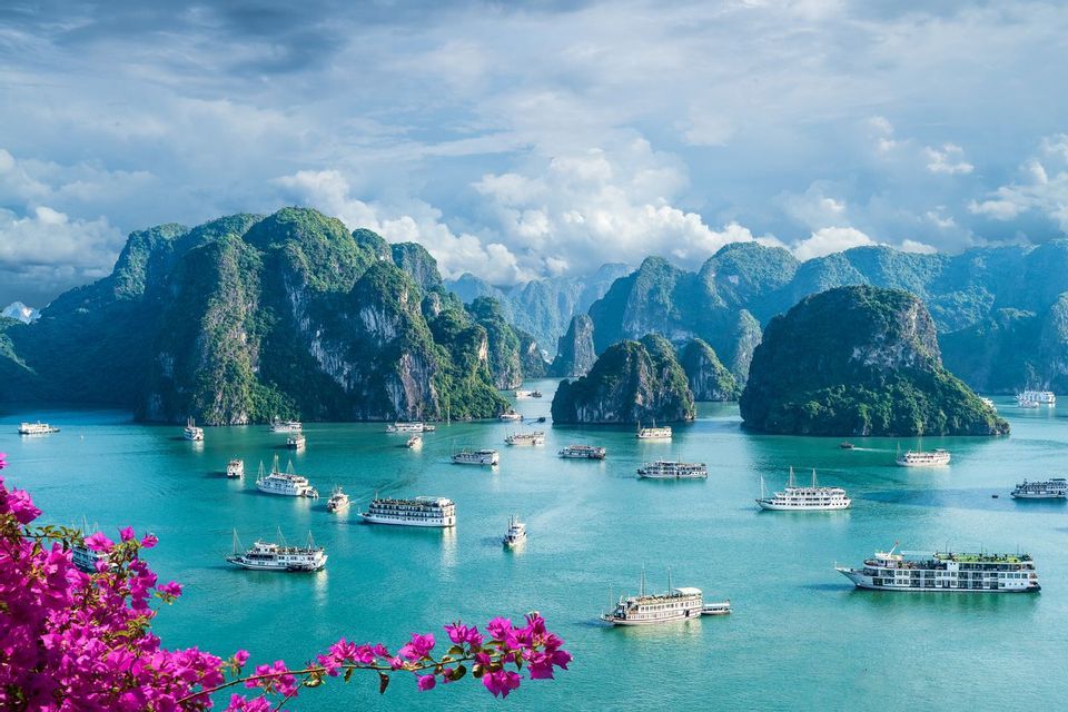 Numerous tour boats sail on turquoise water among towering green limestone karsts, with pink flowers in the foreground.