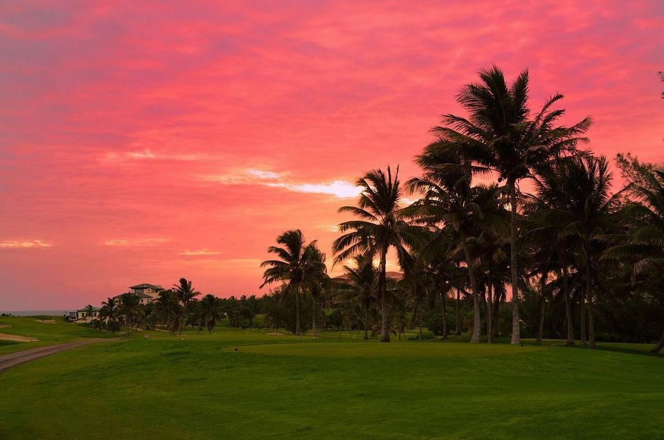 Silhouette di palme su un lussureggiante campo da golf sotto un cielo vibrante rosa e arancione al tramonto.