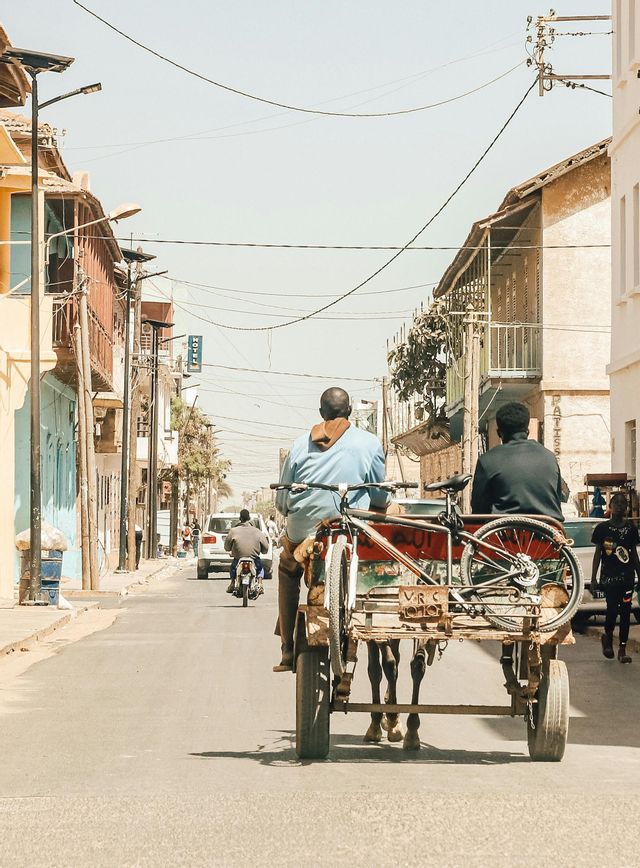 Vista trasera de dos hombres en un carro de caballos con una bicicleta adjunta, por una calle soleada con edificios.