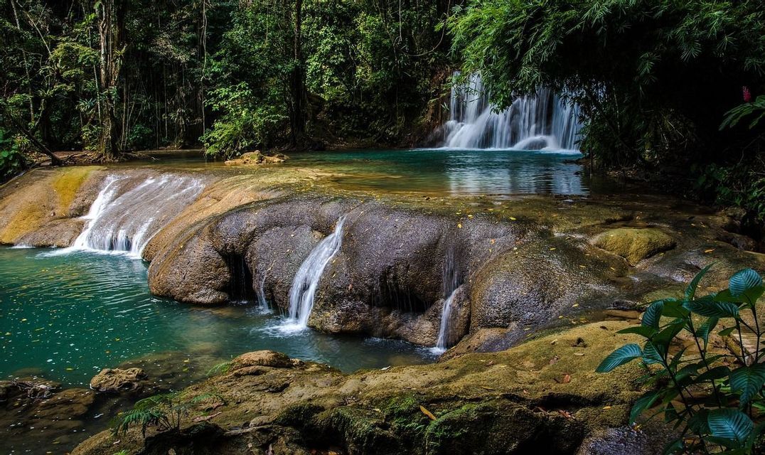 Une cascade étagée dévale sur des roches lisses et moussues dans des bassins turquoise limpides au cœur d'une jungle dense.