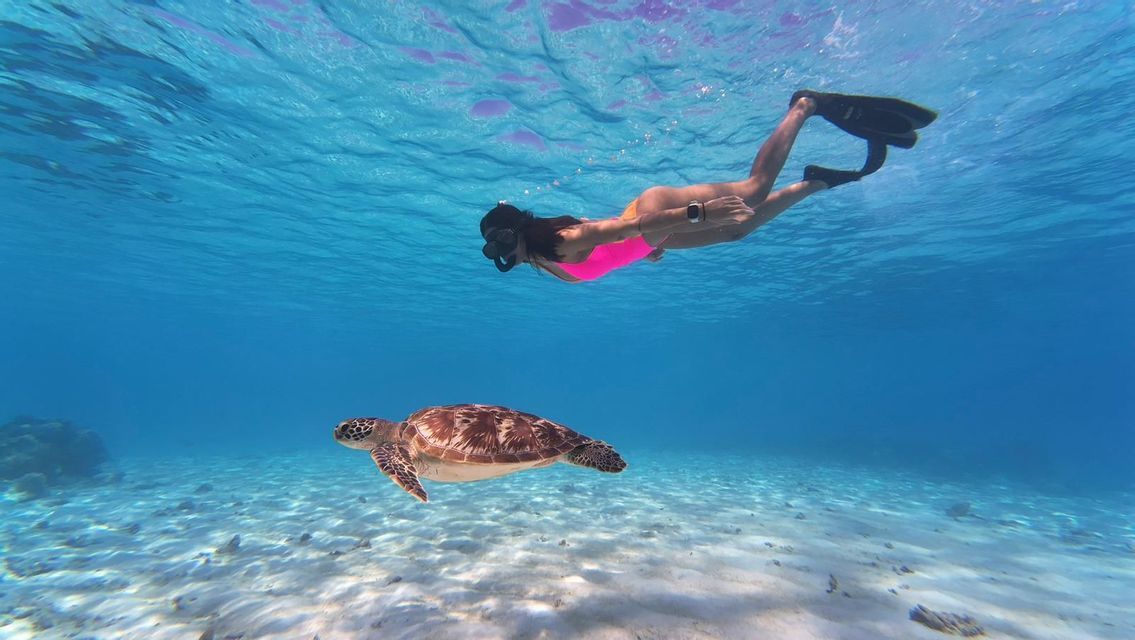 Una mujer con un traje de baño rosa y aletas hace snorkel junto a una tortuga marina en agua azul clara sobre un fondo marino arenoso.