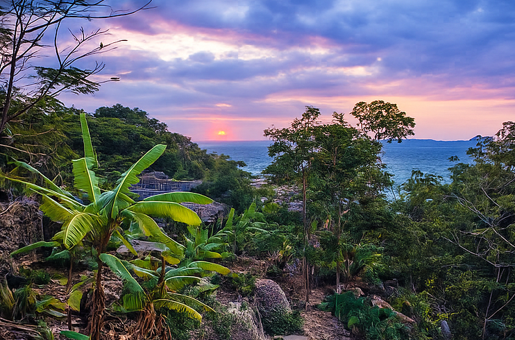 Plantes tropicales luxuriantes sur une côte rocheuse surplombent l'océan au coucher du soleil sous un ciel violet et rose.