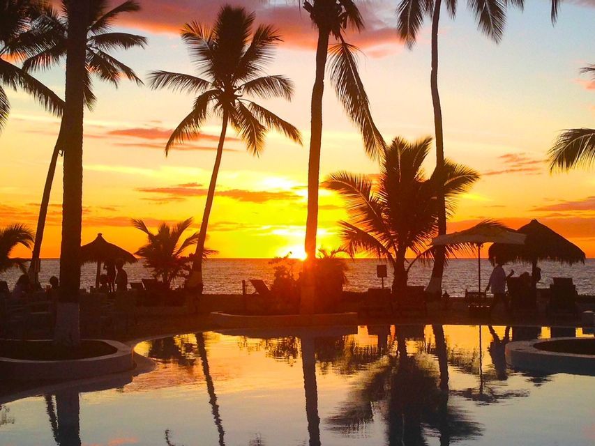 Palmiers en silhouette se reflétant dans une piscine lors d'un coucher de soleil vibrant sur l'océan.