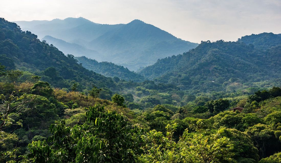 Una vista panoramica su una vasta valle con una giungla verde e lussureggiante, e catene montuose velate in lontananza.