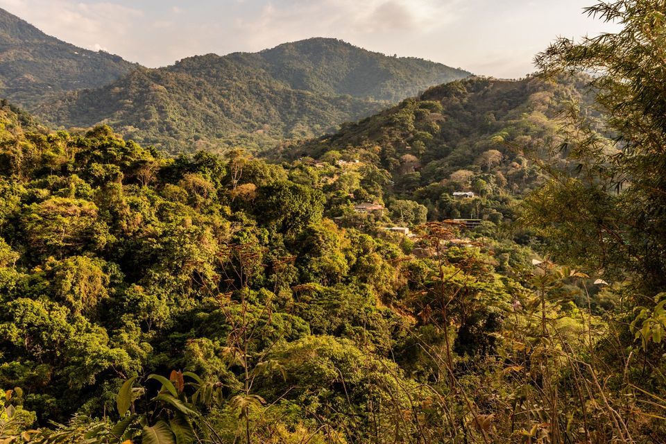Un pequeño pueblo con casas de tejado blanco está enclavado en un valle de vastas colinas onduladas cubiertas por un denso bosque verde.