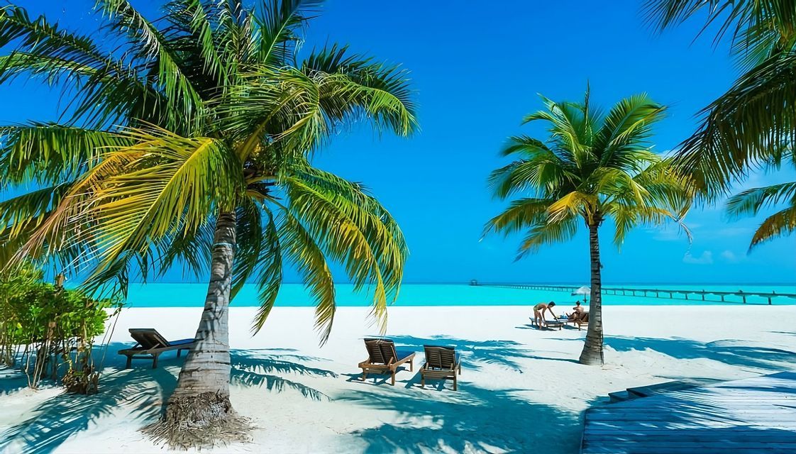Palmeras en una playa de arena blanca con tumbonas frente a un océano turquesa y un muelle en la distancia bajo un cielo azul claro.