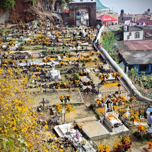 Draufsicht auf einen Hangfriedhof, dessen Gräber und Kreuze mit zahlreichen orangen und gelben Blumen geschmückt sind.