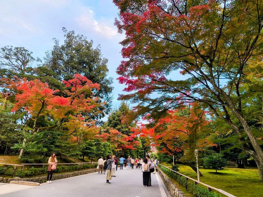 Una folla di persone cammina lungo un sentiero lastricato in un parco circondato da alberi con fogliame autunnale rosso e verde.