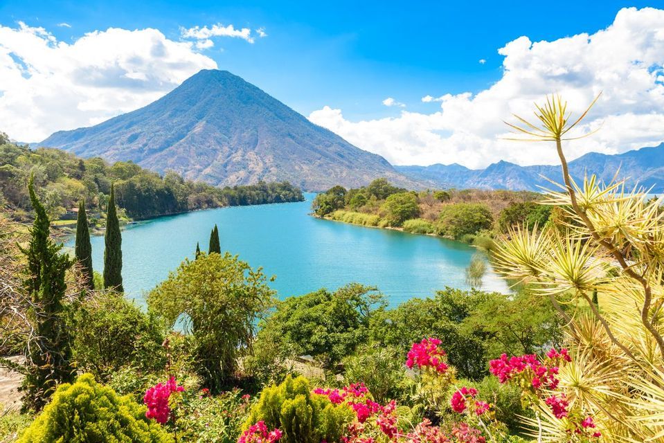 A large volcano overlooks a calm, turquoise lake surrounded by lush green forests, with bright pink flowers in the foreground.