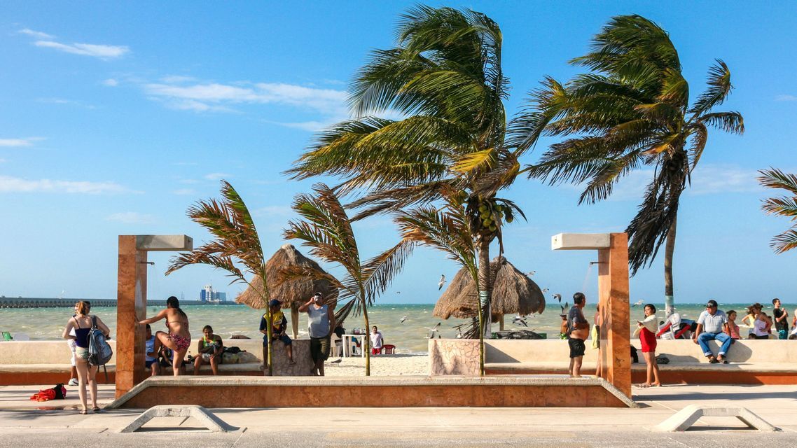 People relax on a sunny, windy beach promenade with palm trees swaying over public showers and the sea in the background.