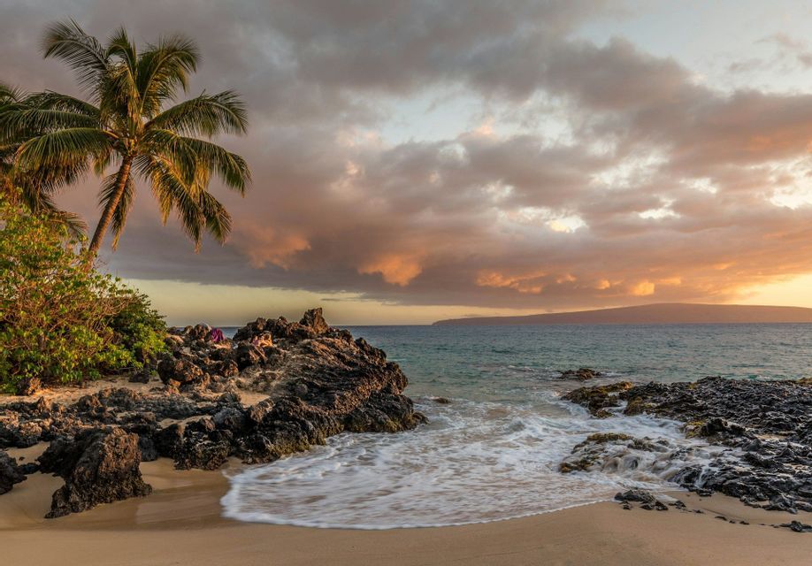 A palm tree stands on a rocky beach where gentle waves meet the sand under a dramatic, colorful sunset sky.