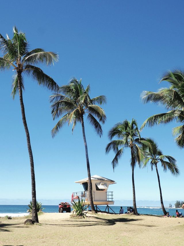 A white lifeguard tower sits on a sandy beach among tall palm trees, with a red ATV parked nearby under a clear blue sky.