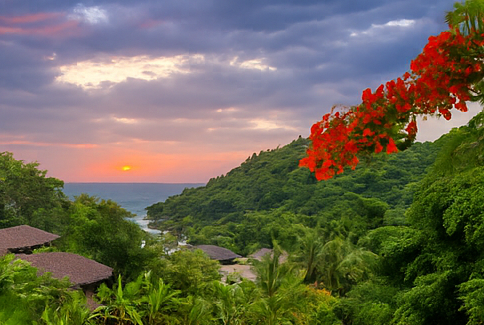 Le soleil se couche sur une baie océanique calme, entourée de collines verdoyantes, avec une branche de fleurs rouges au premier plan.