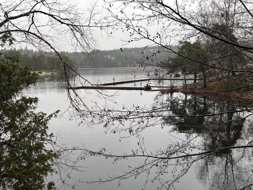 Un lago calmo con un pontile in legno, visto tra i rami di alberi spogli in una giornata nuvolosa.