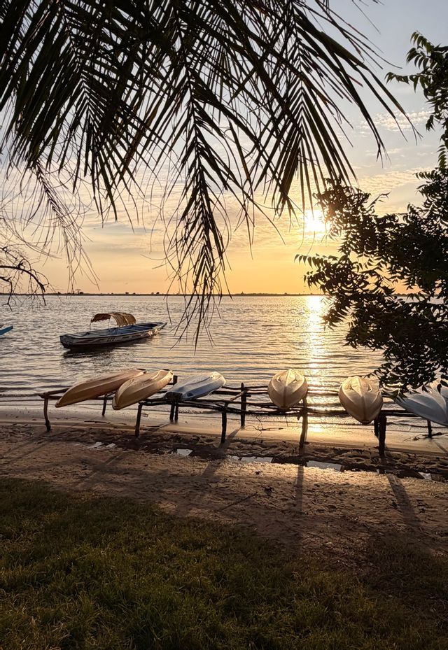 Kayaks en un estante en una playa de arena junto al agua al atardecer, con palmeras en silueta en primer plano.