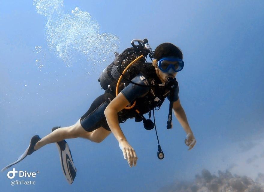 Un plongeur sous-marin équipé de tout son matériel, y compris un masque et des palmes, nage horizontalement dans une eau bleue claire.