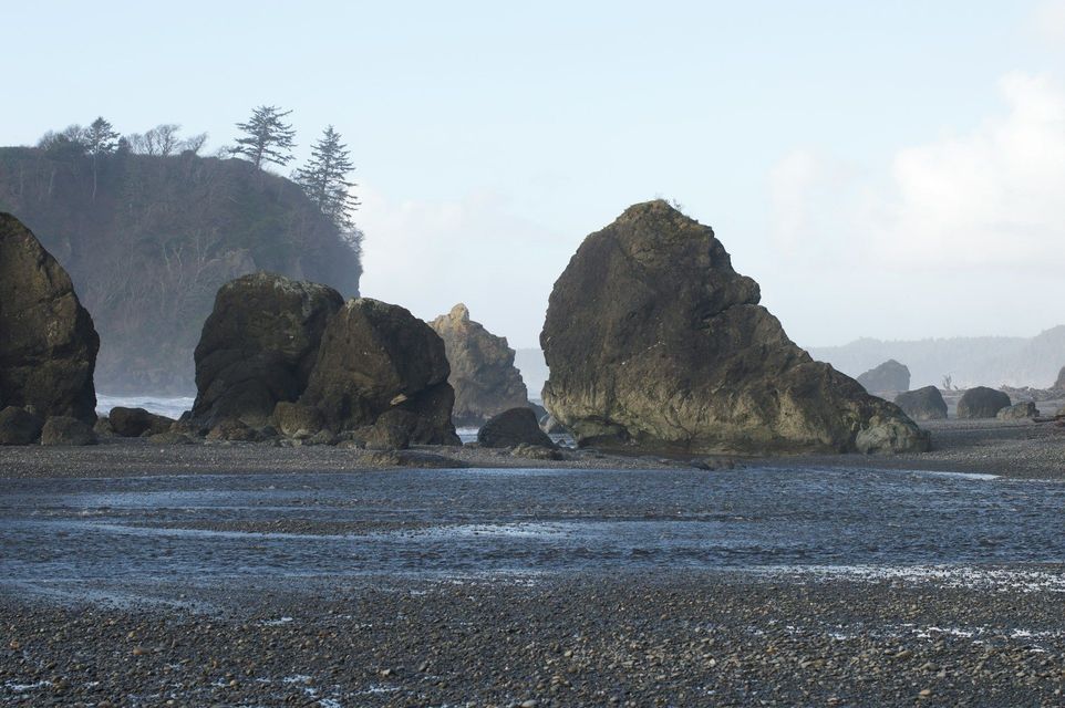 Grandi faraglioni emergono da una spiaggia di ciottoli bagnata, con una scogliera boscosa sullo sfondo sotto un cielo coperto.