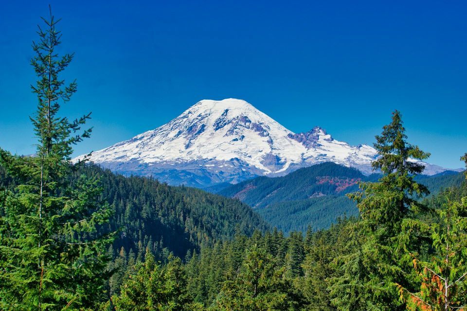 Un'imponente montagna innevata si erge sopra una fitta foresta sempreverde sotto un cielo limpido e azzurro intenso.