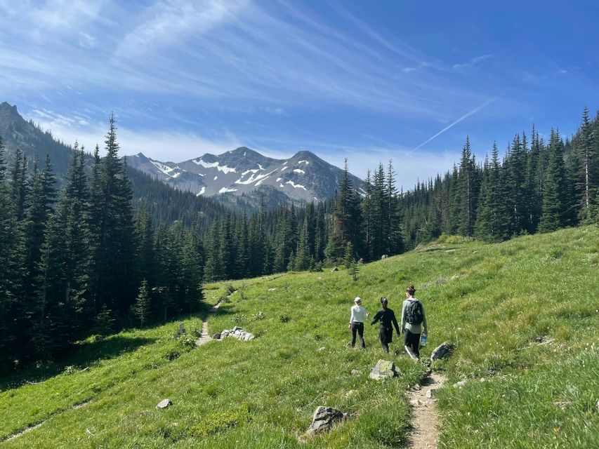 Un viaggio di gruppo WeRoad con tre persone che fanno trekking su un sentiero in un verde prato di montagna, circondato da pini e cime innevate.