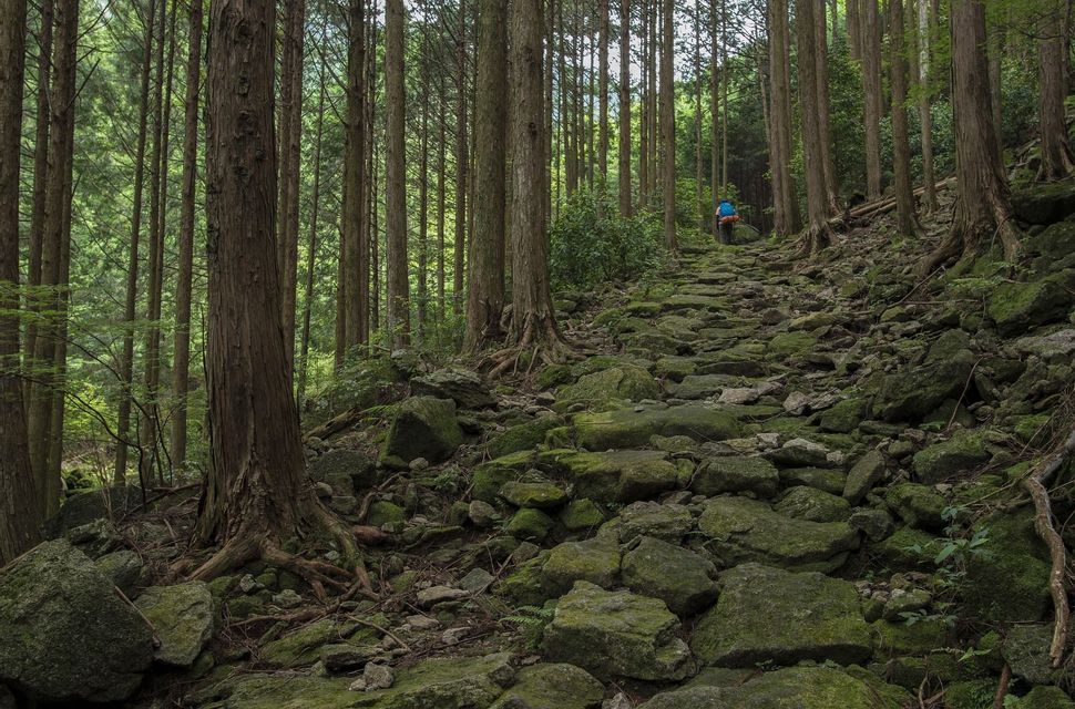 Un escursionista con un grande zaino blu percorre un ripido sentiero di pietra coperto di muschio, immerso in una fitta foresta di alberi alti.