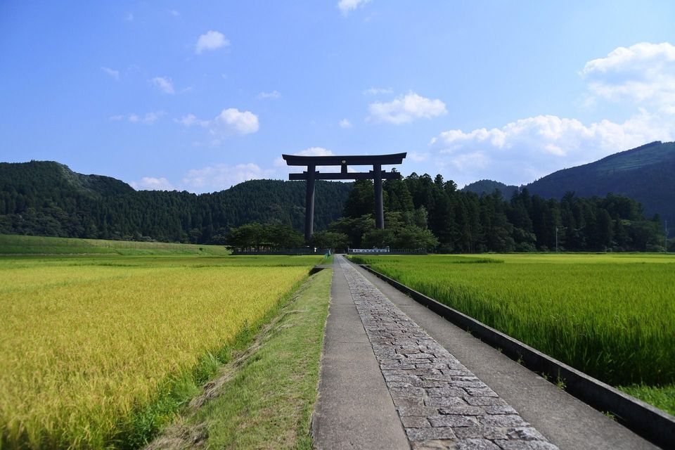 Un sentiero in pietra attraversa vivaci risaie verdi verso un grande cancello torii nero ai piedi di colline boscose.