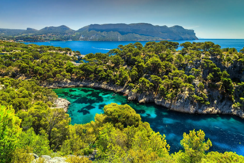 Vista panoramica di un'insenatura costiera con acque turchesi, circondata da scogliere rocciose e una rigogliosa vegetazione sotto un cielo azzurro e limpido.