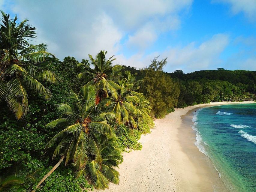 Luftaufnahme eines weißen Sandstrandes mit türkisfarbenem Wasser, umgeben von einem dichten Palmenwald unter blauem Himmel.