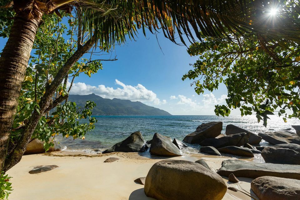 Ein Blick auf einen felsigen, sandigen Strand unter einer Palme, mit Blick auf den ruhigen Ozean und entfernte Berge unter einem sonnigen Himmel.