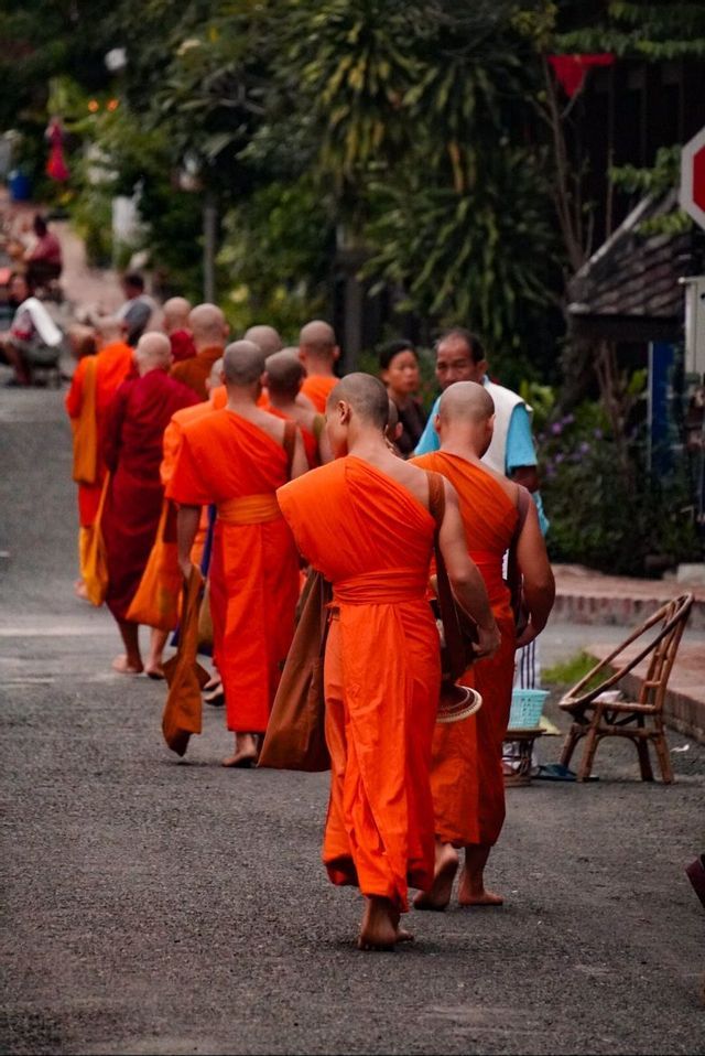 Une procession de moines bouddhistes aux pieds nus, vêtus de robes orange éclatant, défile en file indienne dans une rue de village.