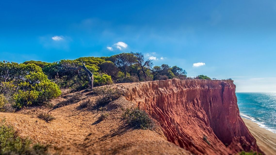 Scogliere di terra rossa coronate da pini verdi si affacciano su una spiaggia sabbiosa e l'oceano blu sotto un cielo sereno.