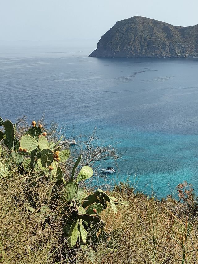 Un fico d'India su una collina si affaccia su una baia turchese con barche ancorate e un'isola grande e distante sotto un cielo velato.