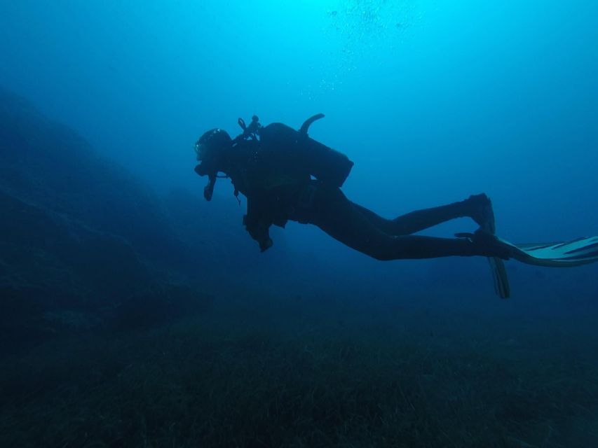 Un subacqueo in silhouette nuota orizzontalmente in acque blu profonde sopra un fondale marino scuro.