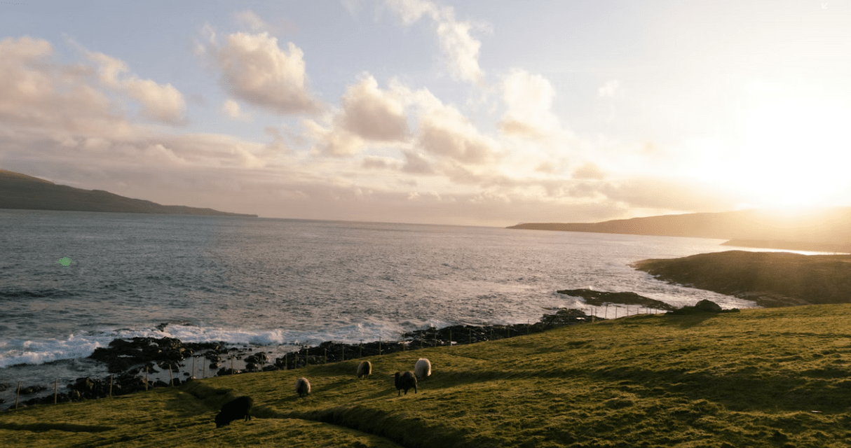 Des moutons paissent sur une colline luxuriante et verdoyante, dominant une mer calme, avec le soleil se couchant sur des terres lointaines.