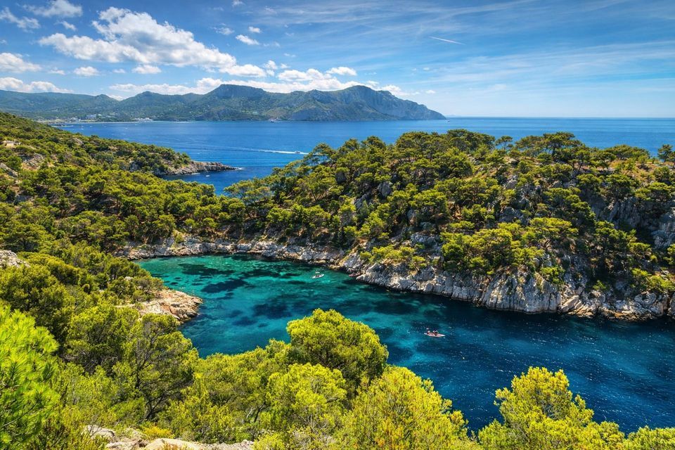 Una vista panoramica di una cala turchese circondata da pini verdi e coste rocciose, con montagne al di là del mare.