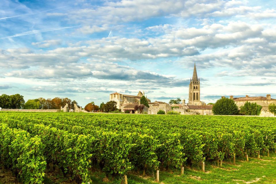 Un vignoble verdoyant et luxuriant avec des rangées de vignes menant à un village historique en pierre et un clocher, sous un ciel partiellement nuageux.