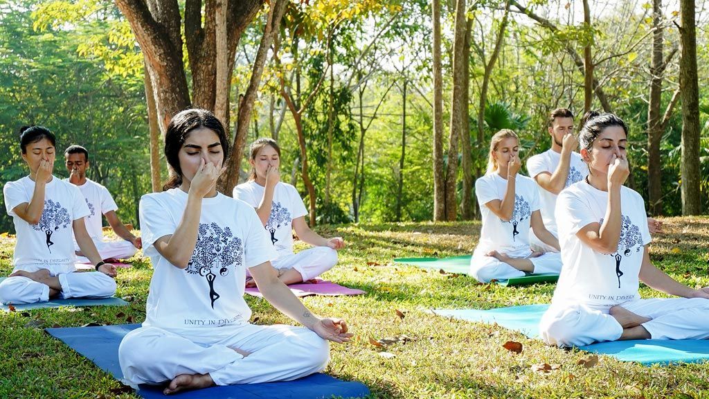 Un viaggio di gruppo WeRoad che pratica esercizi di respirazione yoga, seduto su tappetini in un parco soleggiato e alberato.