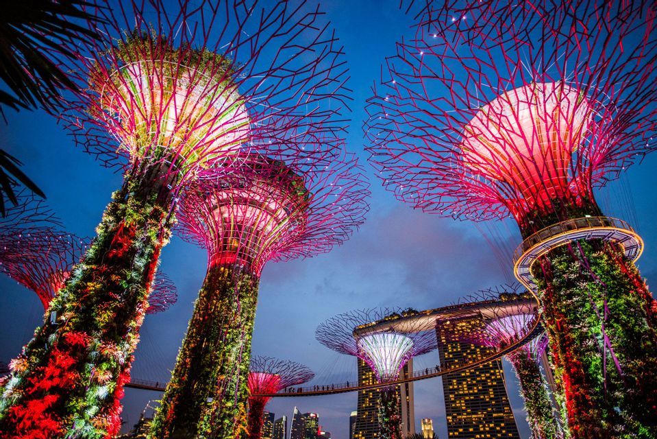 Tall, futuristic tree-like structures covered in plants and illuminated with pink and red lights against a city skyline at dusk.