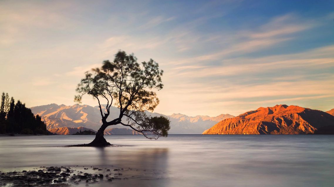 A lone tree stands in the calm water of a lake with mountains in the background illuminated by sunrise.