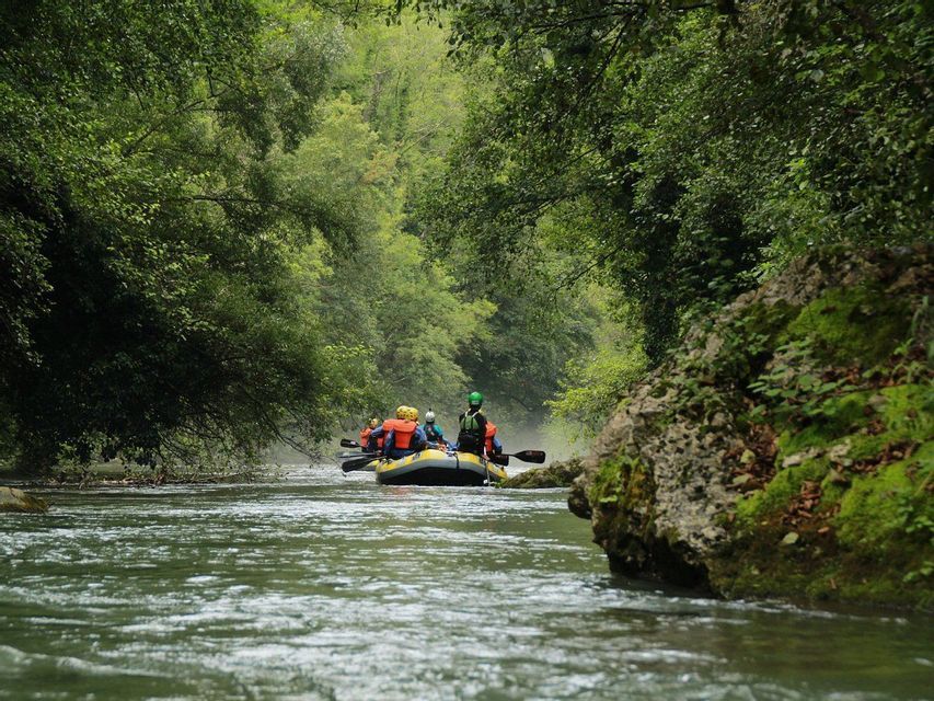 Un viaggio di gruppo WeRoad in gommone pagaia lungo un fiume fiancheggiato da una fitta foresta verde.