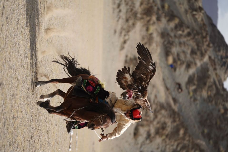 Un cacciatore d'aquile in abiti tradizionali galoppa a cavallo, con un'aquila appollaiata sul braccio che spiega le ali.