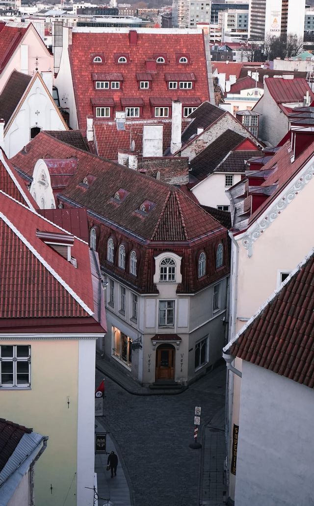 Vista elevada de edificios antiguos con tejados rojos sobre una estrecha calle adoquinada.